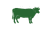 Cattle