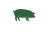 Pigs