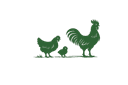 Poultry
